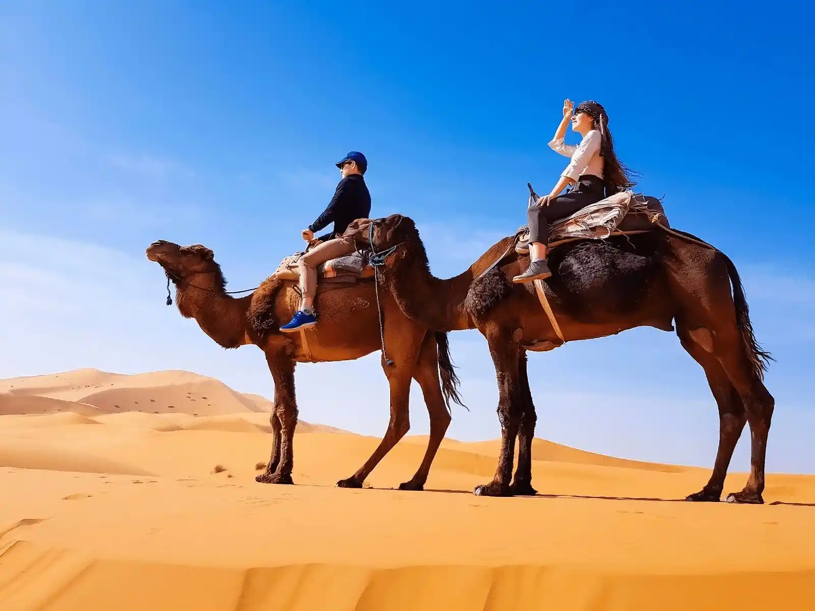 2 Day Desert Tour from Marrakech to Zagora with Camel Ride