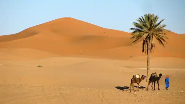 3 Days Southern Morocco And The Desert Of Erg Chebbi In The Berber Tent