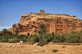 6 Days Marrakech Oases And Kasbahs Tour