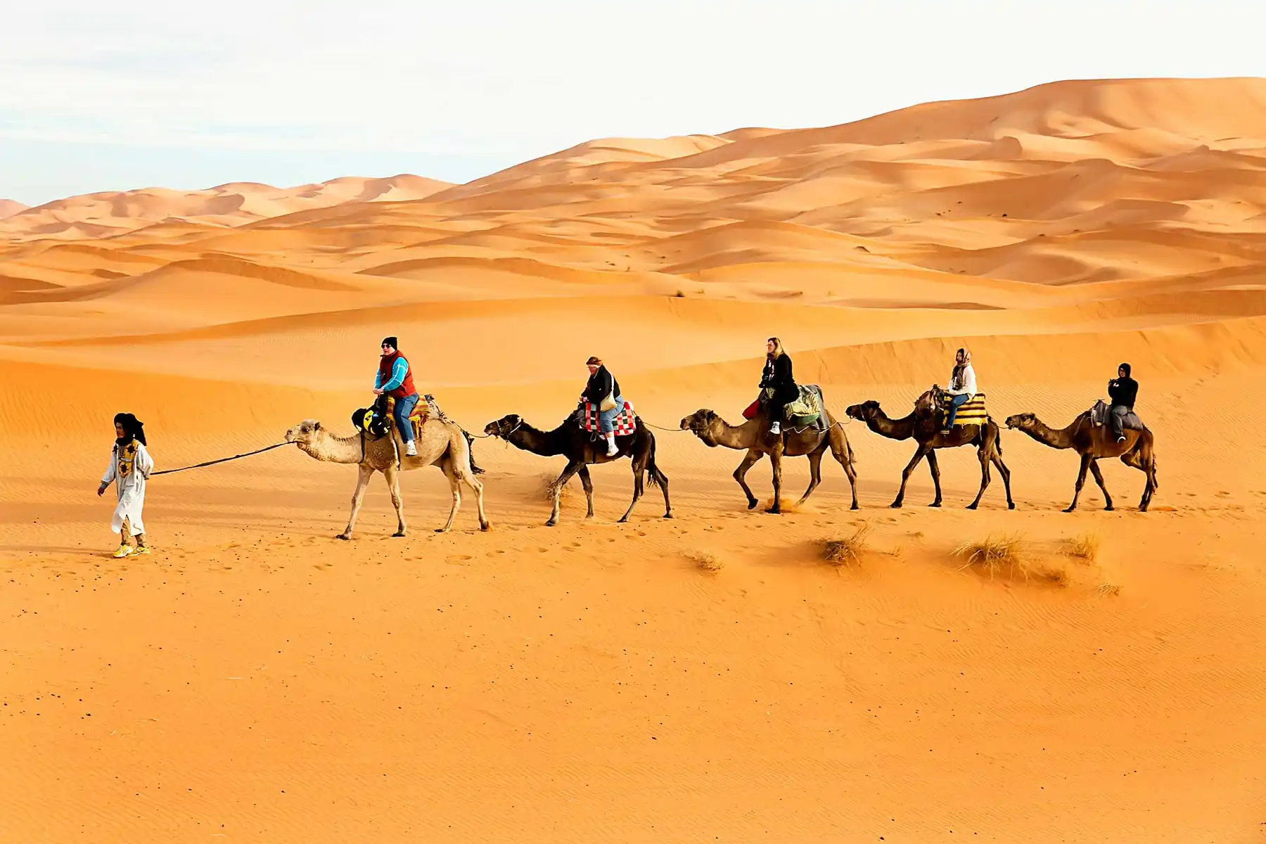 10 Days Grand Tour Of Imperial Cities And Desert From Marrakech