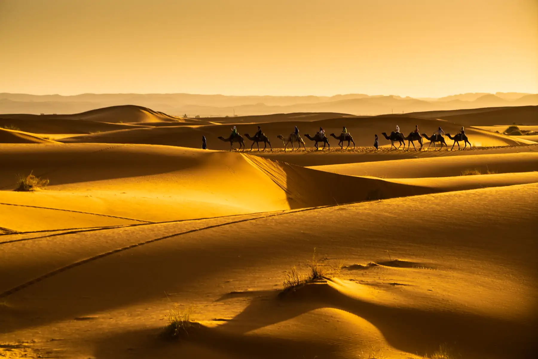 5 Days Fes To Marrakech Desert Adventure With Camel Trek